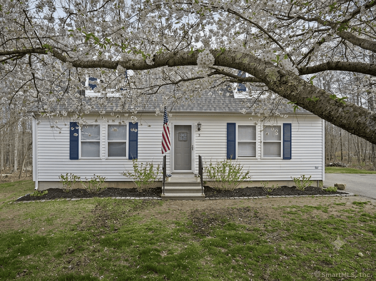 A charming white Cape Cod style home with blue shutters, a central gray door, and an American flag, viewed under a heavy canopy of white cherry blossoms.